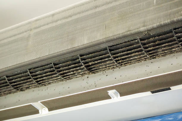 Ventilation Cleaning Services in Chisholm, ME